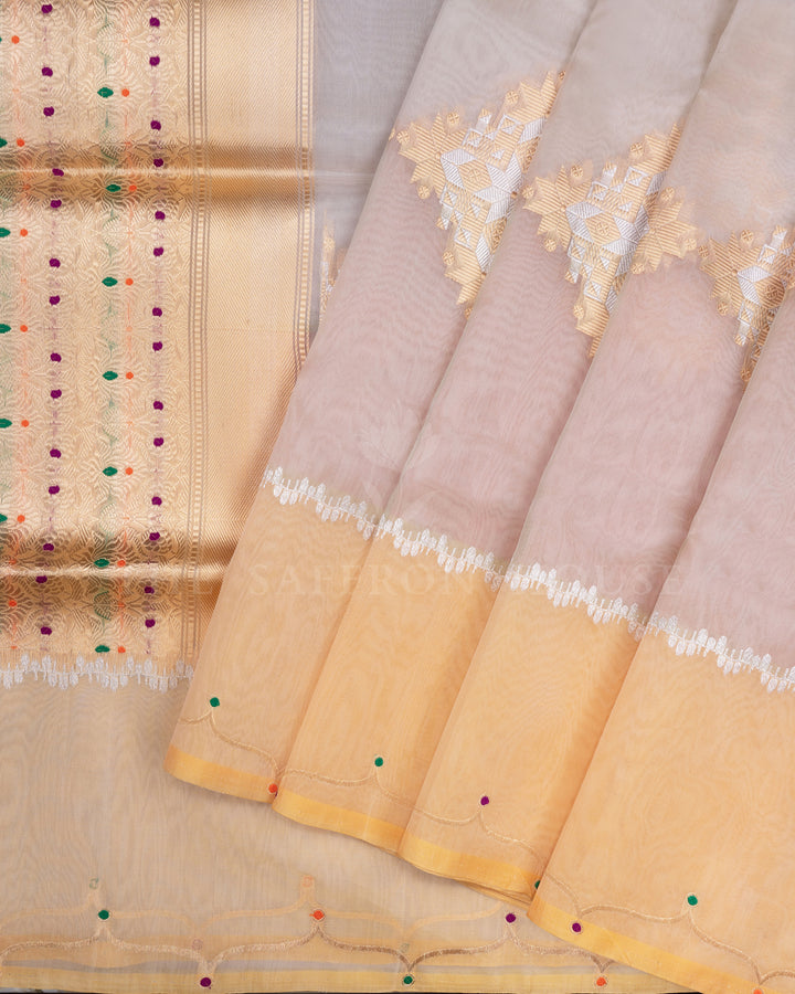 Pastel Shade Multicolour Handwoven Organza Banarasi Saree - TSH110084