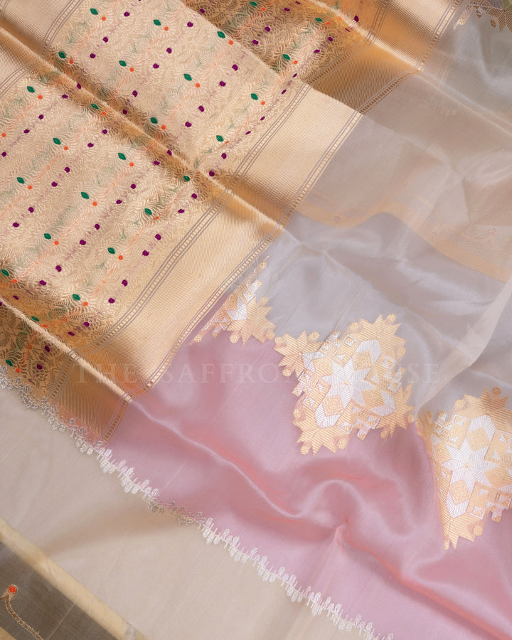 Pastel Shade Multicolour Handwoven Organza Banarasi Saree - TSH110084