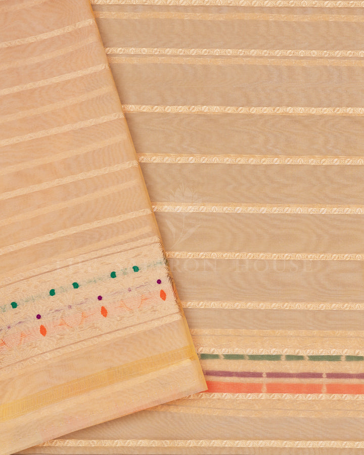 Pastel Shade Multicolour Handwoven Organza Banarasi Saree - TSH110084