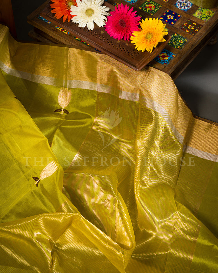 Turmeric Yellow Tussar Silk Saree with Gold Zari Lotus Butis and Tissue Border