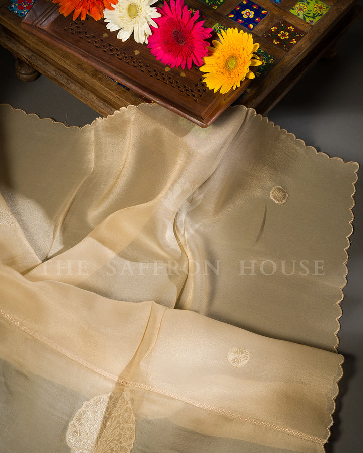 Beige Tussar Silk Saree with Self-Tone Circular Motifs & Scalloped Edge