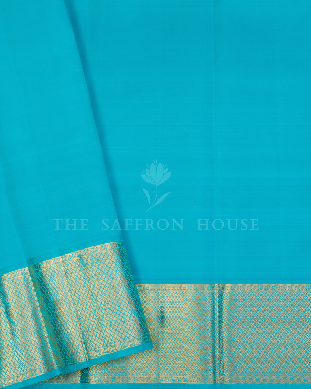 Handloom Pure Kanjivaram Silk Saree in Ivroy And Sky Blue - TSH250008