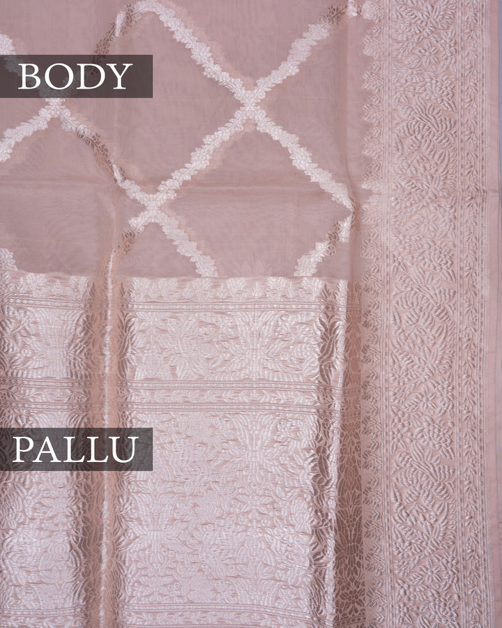 Pastel Powder Pink Handwoven Organza Banarasi Saree - TSH110072