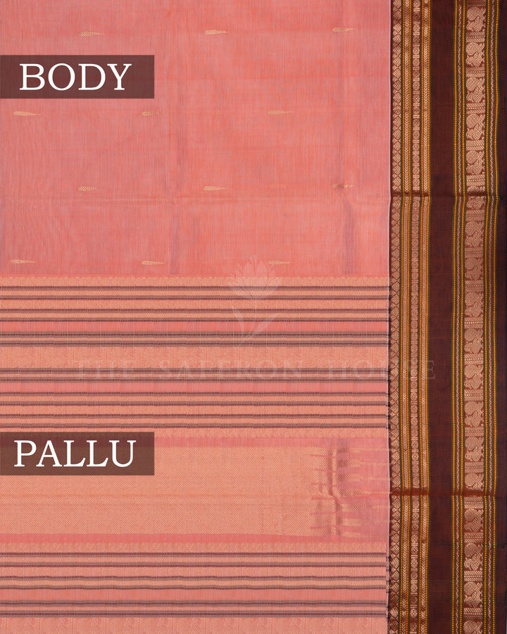 Peach Coral And Chocolate Brown Cotton Silk Saree - TSH110019