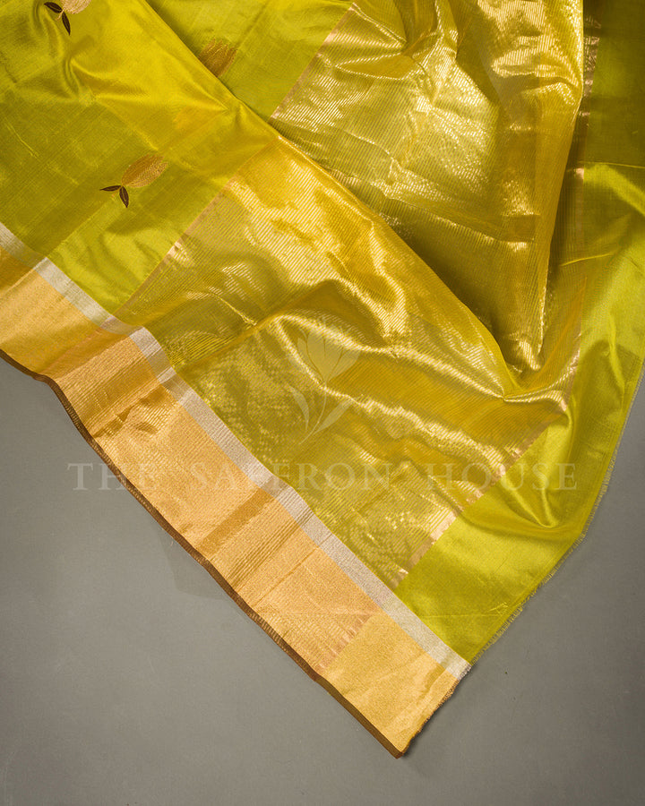 Turmeric Yellow Tussar Silk Saree with Gold Zari Lotus Butis and Tissue Border