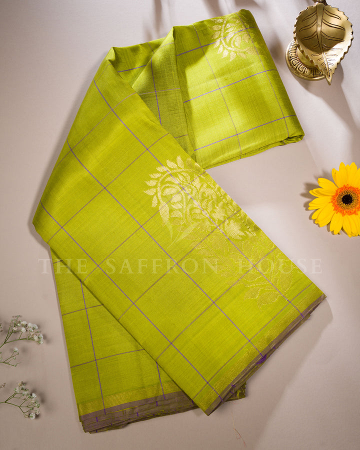 Handloom Pure Kanjivaram Silk Saree in Leaf Green And Dual Shaded Olive Green - TSH250067