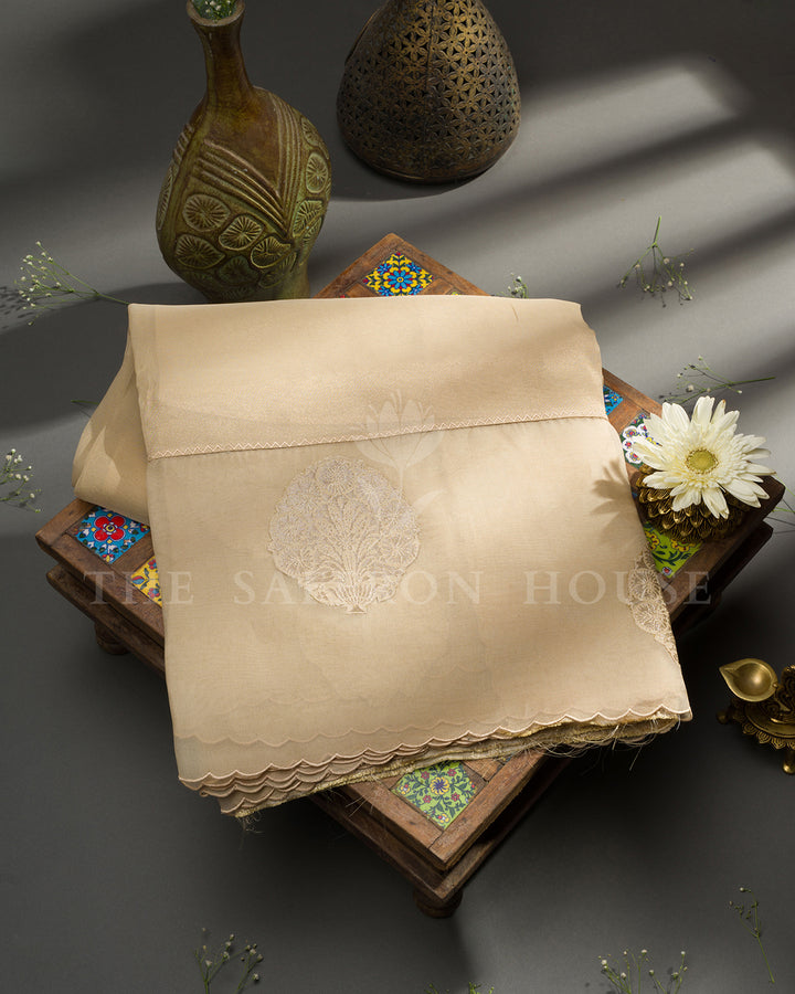 Beige Tussar Silk Saree with Self-Tone Circular Motifs & Scalloped Edge