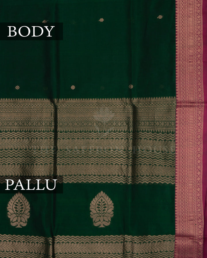 Bottle Green And Magenta Handwoven Silk Cotton Saree – The Saffron House