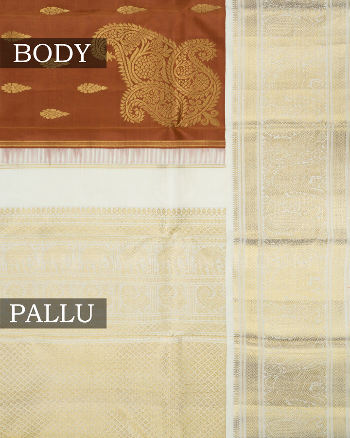 Warm Brown And Ivory Cream Korvai Kanjivaram Silk Saree – The Saffron House