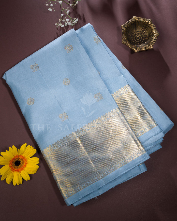 Powder Blue And Blue Kanjivaram Silk Saree – The Saffron House