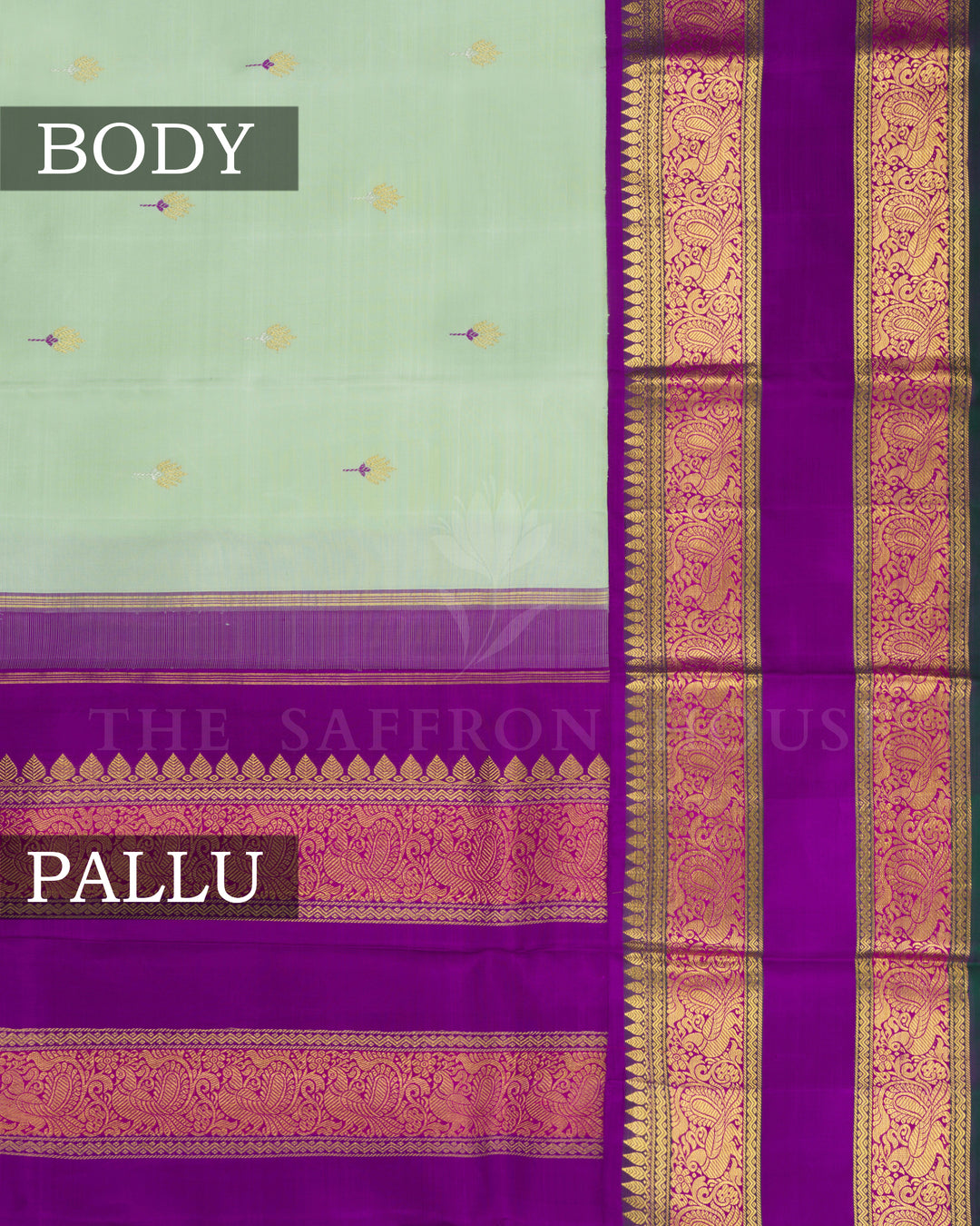 Pistachio Green And Violet Kanjivaram Silk Saree – The Saffron House
