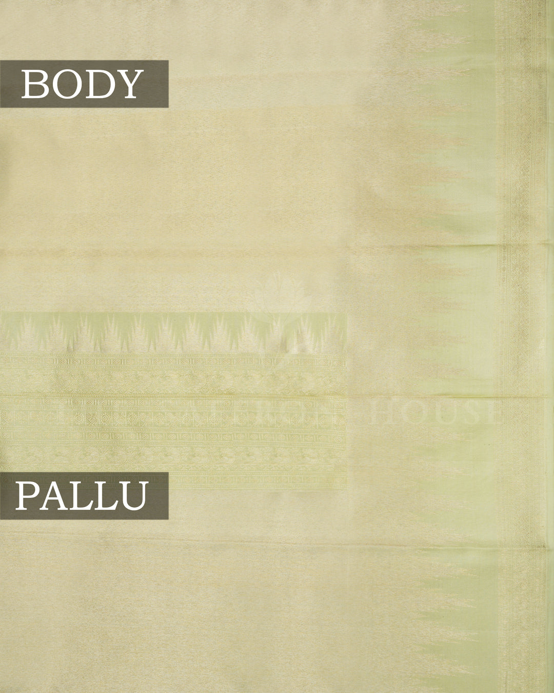 Pistachio Green Tissue Kanjivaram Silk Saree – The Saffron House