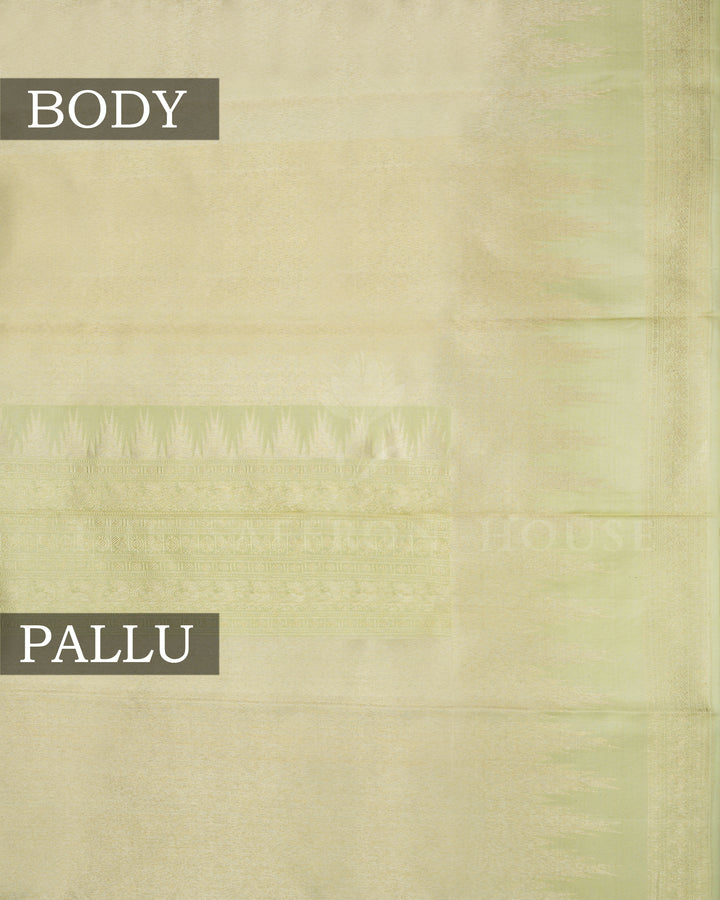 Pistachio Green Tissue Kanjivaram Silk Saree – The Saffron House
