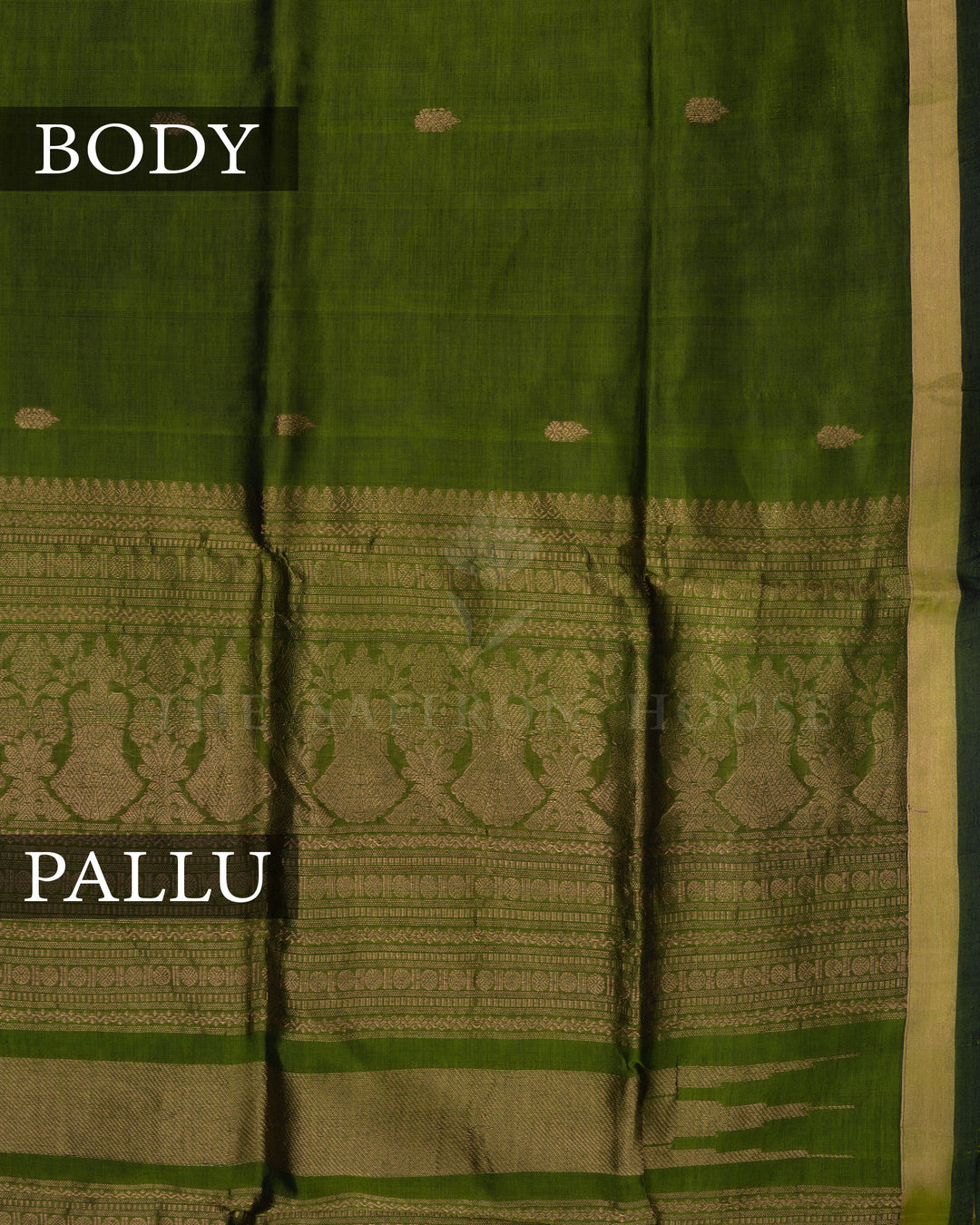 Olive Green Handwoven Silk Cotton Saree – The Saffron House