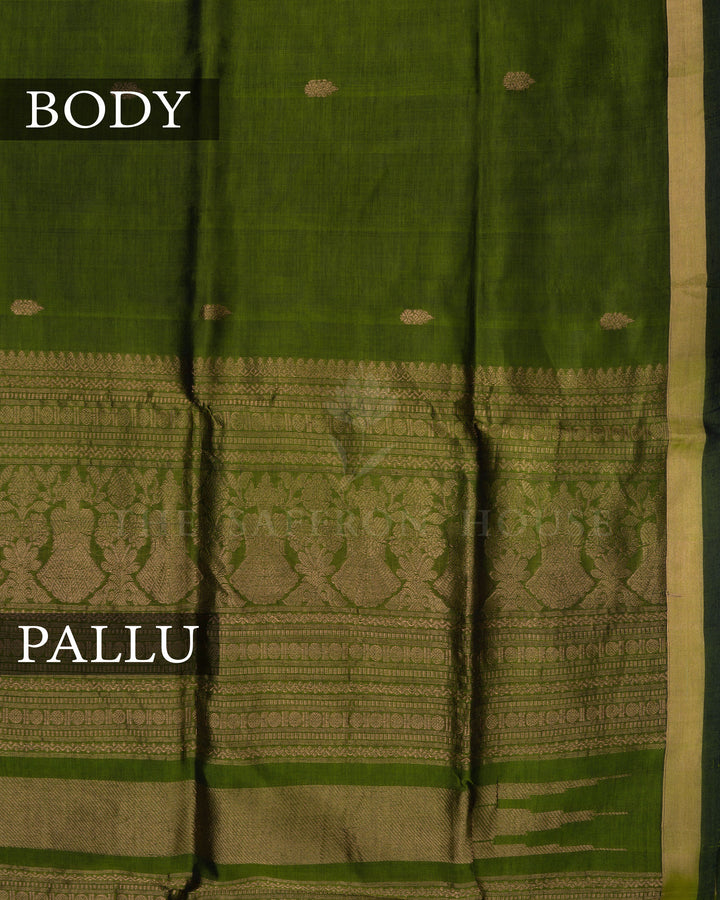 Olive Green Handwoven Silk Cotton Saree – The Saffron House