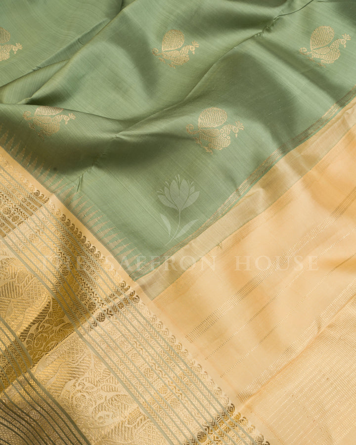 Pistachio Green And Antique Gold Tissue Kanjivaram Silk Saree – The Saffron House