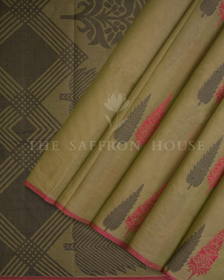 Olive Green And Coral Handwoven Cotton Saree – The Saffron House