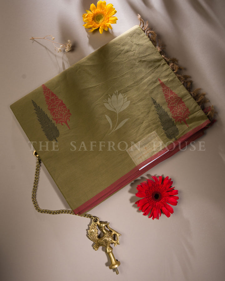 Olive Green And Coral Handwoven Cotton Saree – The Saffron House