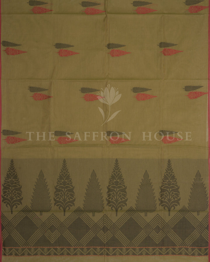 Olive Green And Coral Handwoven Cotton Saree – The Saffron House